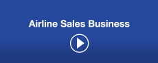 Airline Sales Business