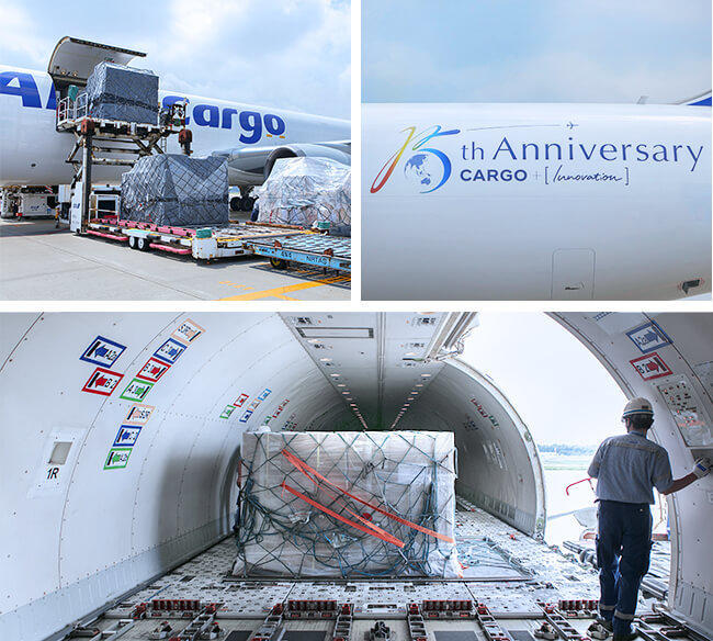 ANA CARGO