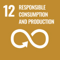 12_Responsible Consumption and Production