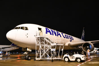 ANA Cargo B767F.jpg