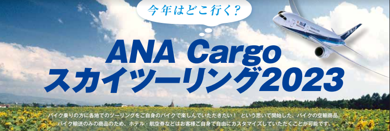 キャプチャ.PNGのサムネイル画像
