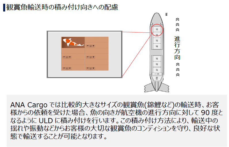 キャプチャ1.PNG